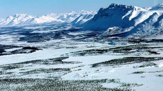 The Government Shutdown Has Stalled Trump’s Plan to Drill in the Arctic National Wildlife Refuge<em></em><em></em>